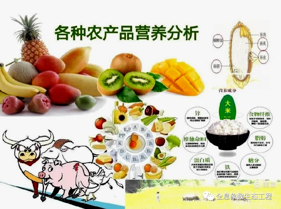富硒大米比例多少合适