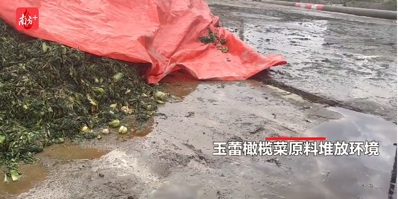 富硒大米宣传视频素材