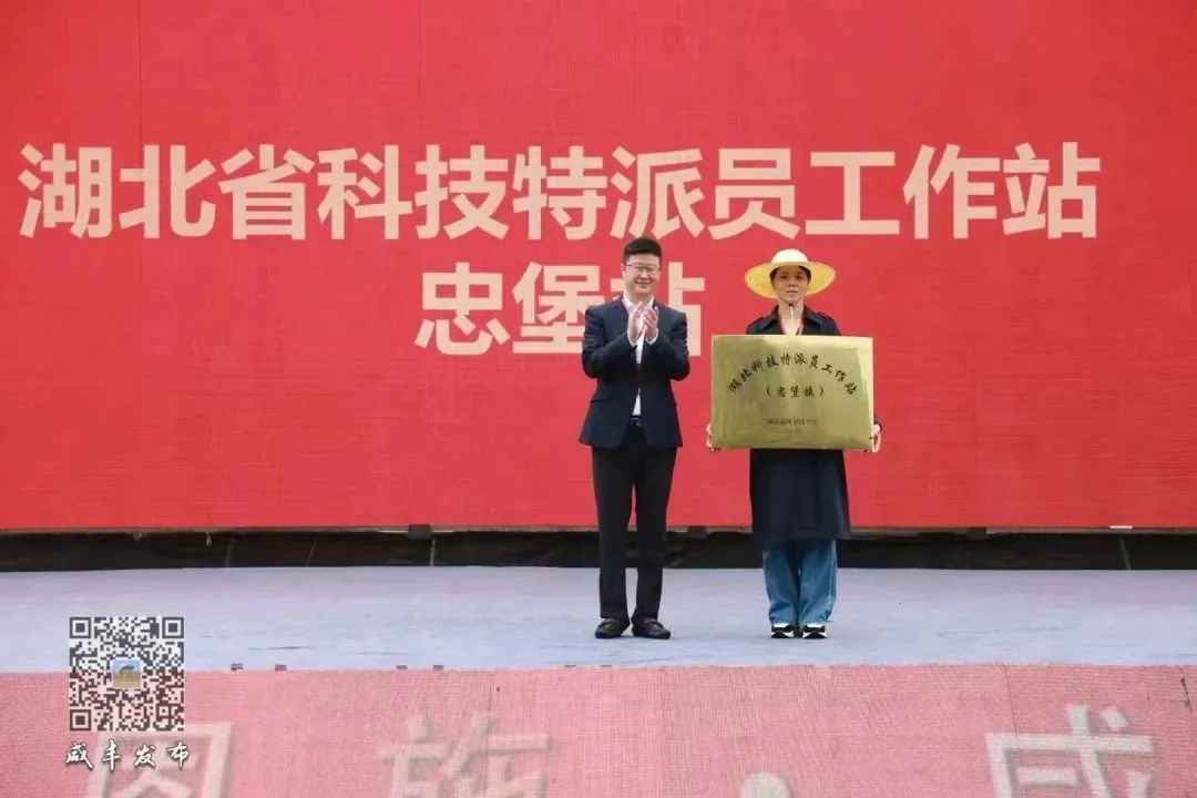 湖北恩施富硒大米打造