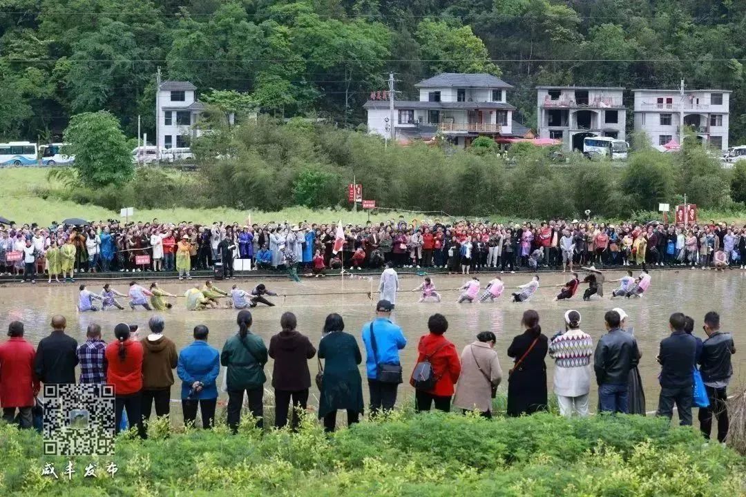 湖北恩施富硒大米打造