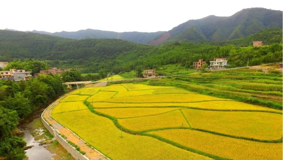 这是一张好米生长自好土壤，营养富硒，绿色环保，沁人“心田”！的配图