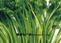 富硒大米国家地理标识