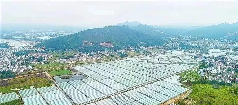宜春富硒大米研究报告