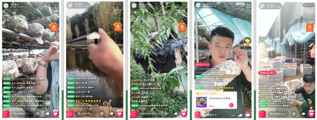洛阳富硒大米厂家批发
