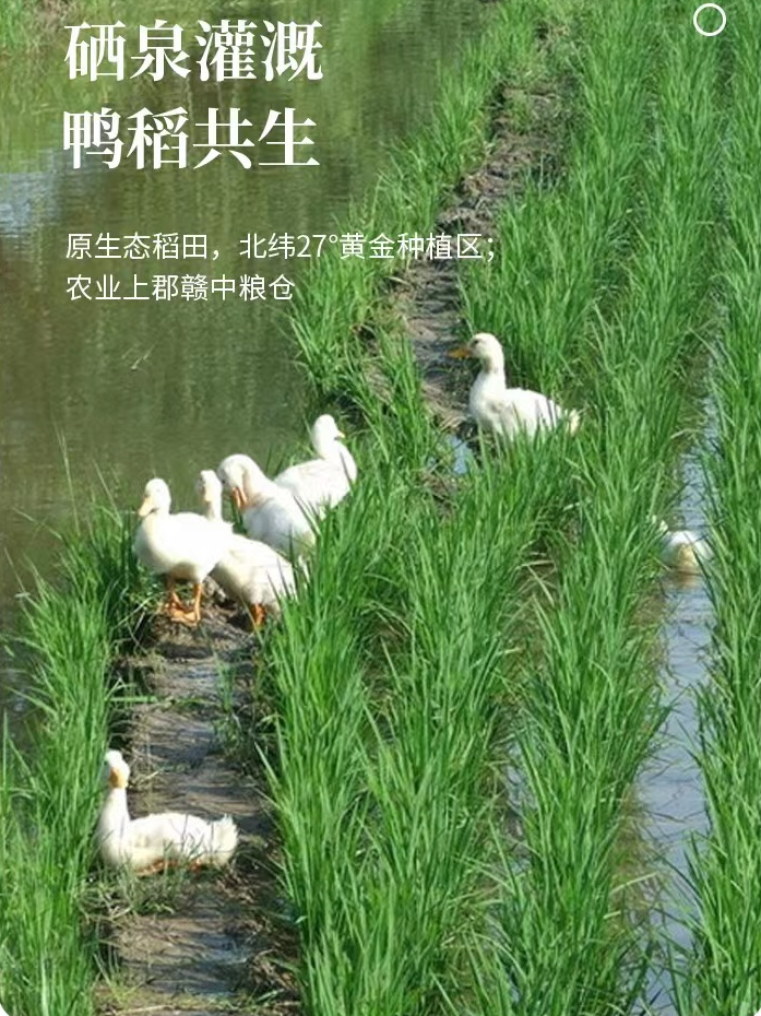 富硒大米的品质是什么