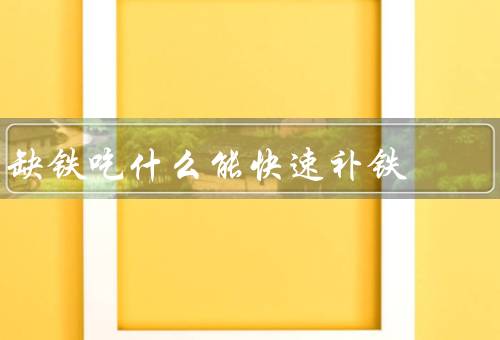 缺铁吃什么能快速补铁，红肉、豆类、海鲜