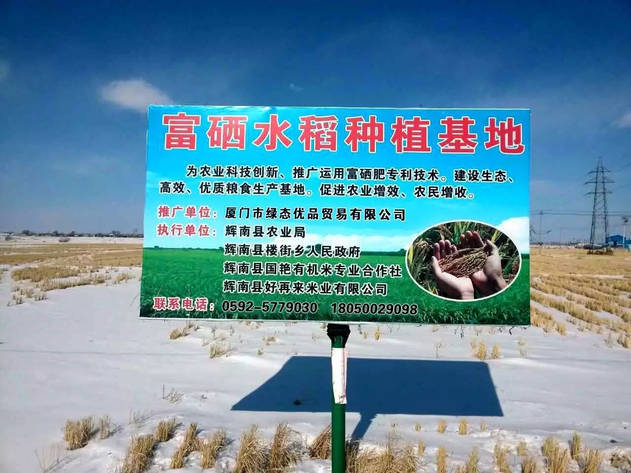东北富硒大米生产厂家