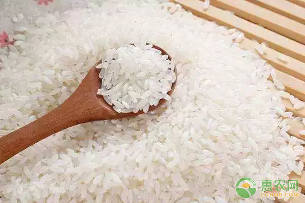 湖北富硒大米价格行情