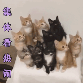 富硒五常大米如何包装