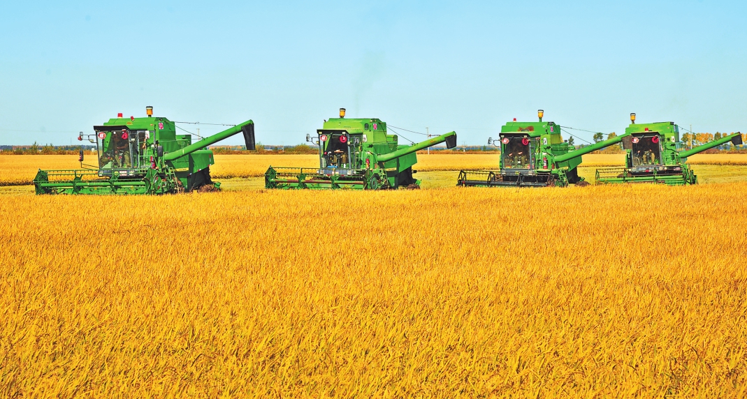 黑龙江富硒大米哪里产