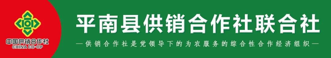 广西富硒大米批发市?。ü阄鞲晃竺准鄹瘢?硒宝网