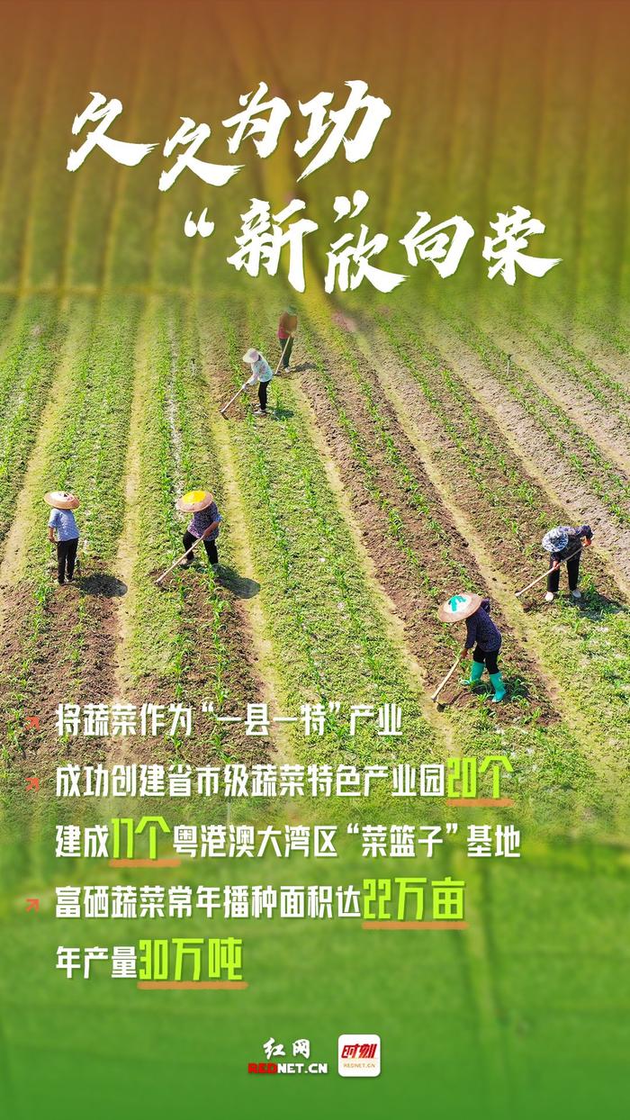 湖南省永州市富硒大米