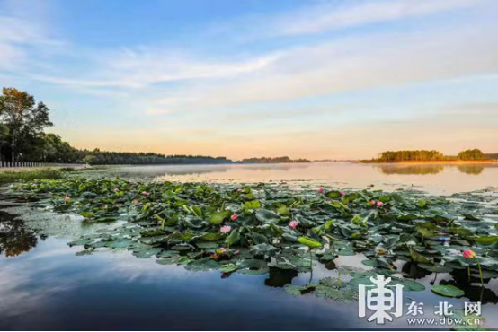 黑龙江省方正富硒大米