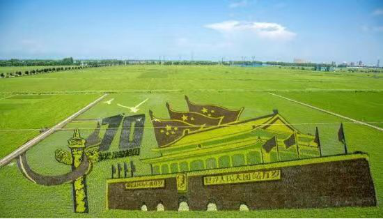 黑龙江省方正富硒大米