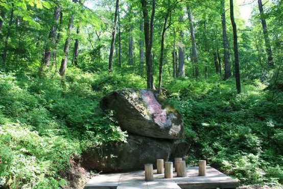 黑龙江省方正富硒大米