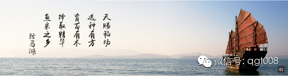 富硒大米适合做什么吃
