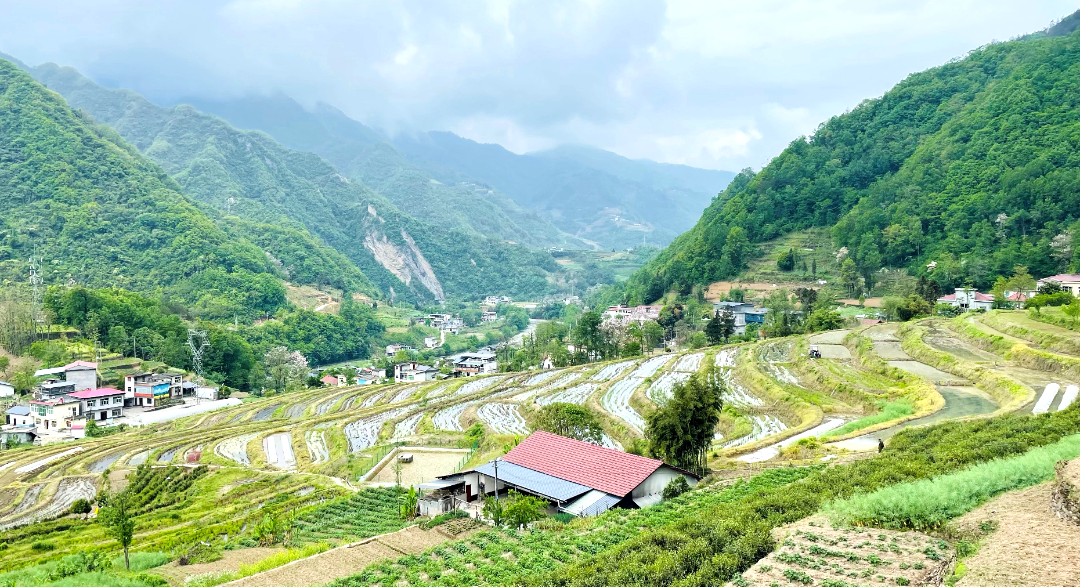 富硒大米一亩地多少钱