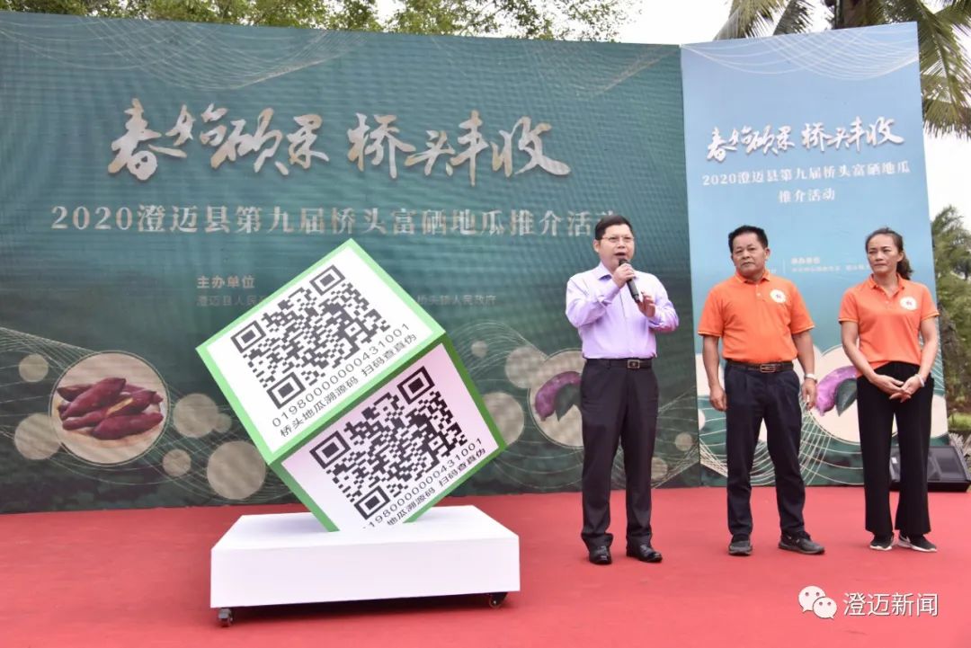 桥头富硒地瓜种植面积
