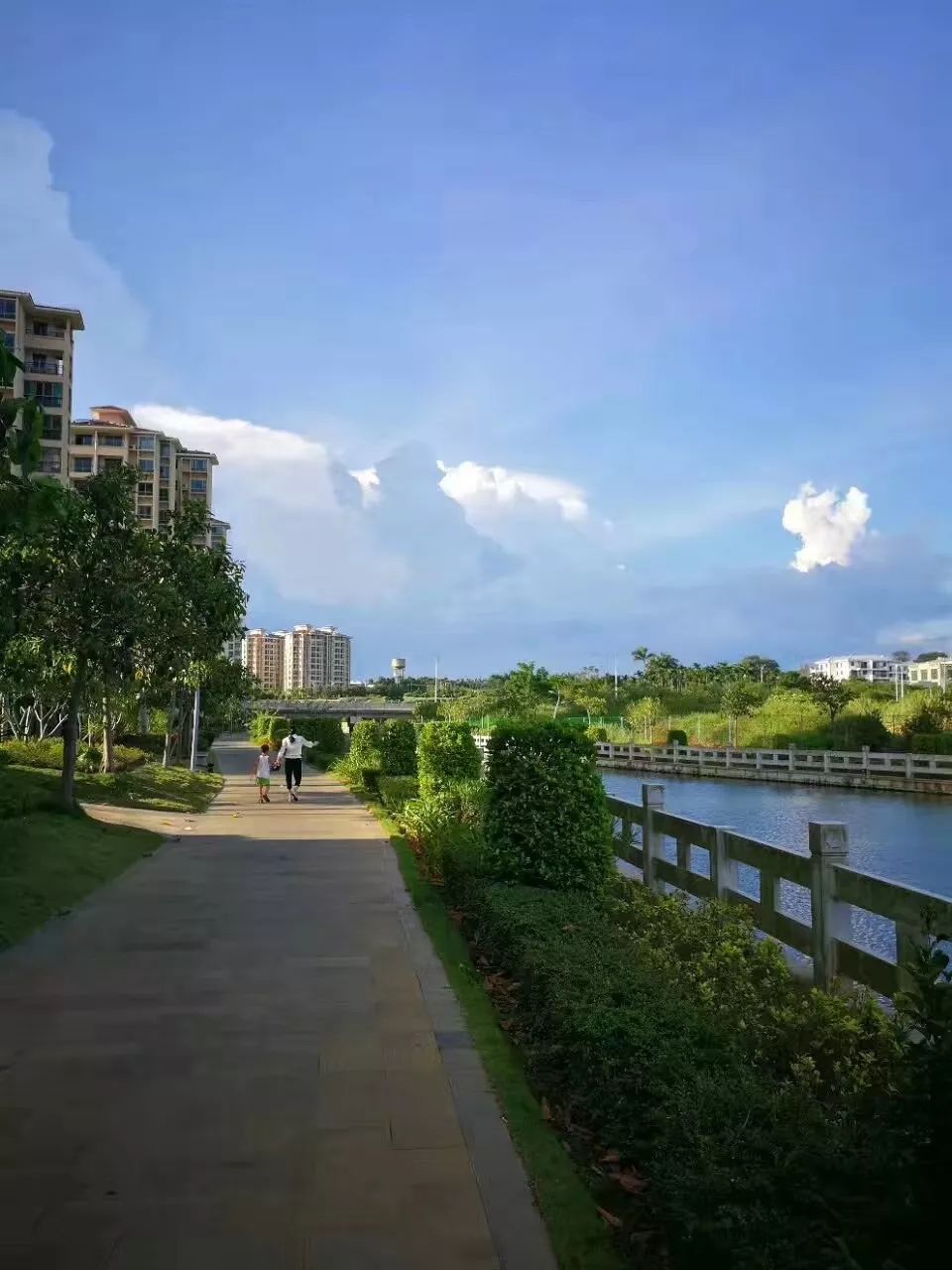 富硒地瓜怎么补充硒呢(地瓜补充富硒硒含量多少)-硒宝网