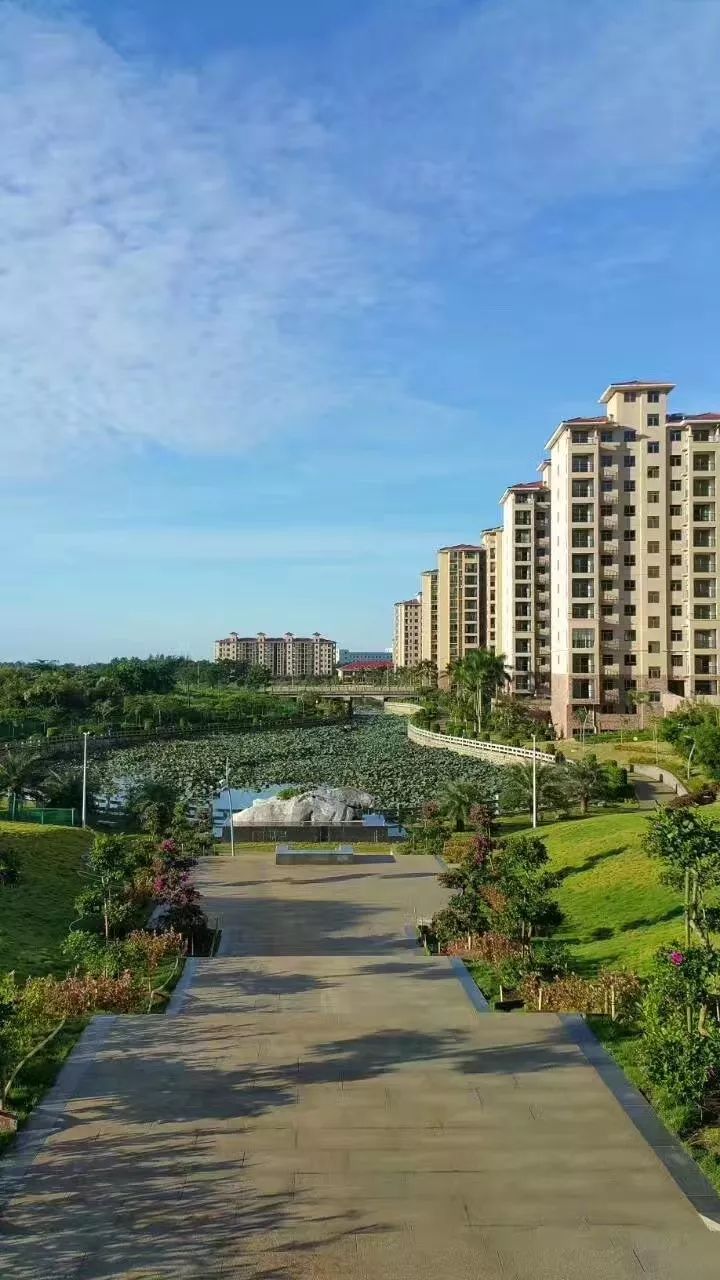 富硒地瓜怎么补充硒呢(地瓜补充富硒硒含量多少)-硒宝网