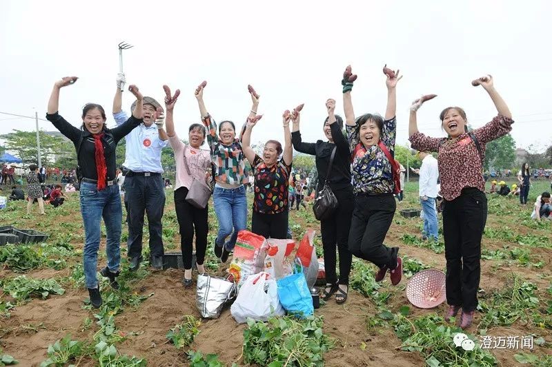 海南桥头富硒地瓜新闻(海南桥头地瓜营养)-硒宝网