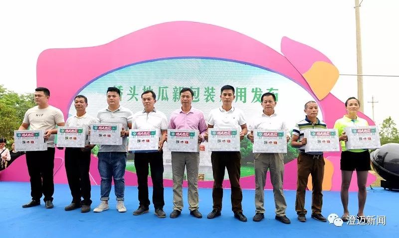 海南桥头富硒地瓜新闻(海南桥头地瓜营养)-硒宝网