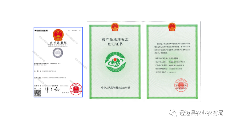 海南桥头富硒地瓜特点