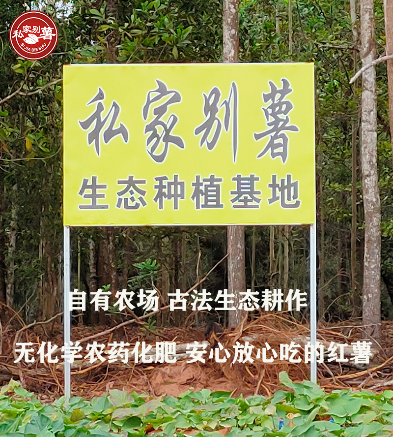 富硒地瓜哪个品牌好吃