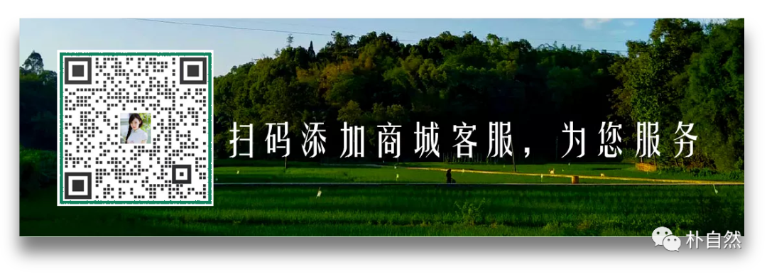 儋州富硒地瓜种植时间