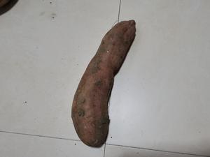 地瓜（番薯）品种介绍，未完待续……的做法 步骤10