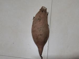 地瓜（番薯）品种介绍，未完待续……的做法 步骤4