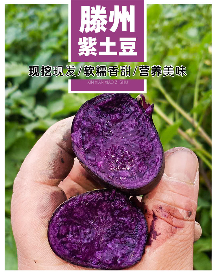 滕州富硒地瓜批发市场