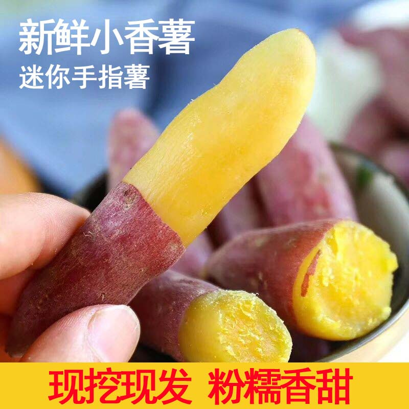 新鲜蔬菜小 小香薯2.5斤红薯