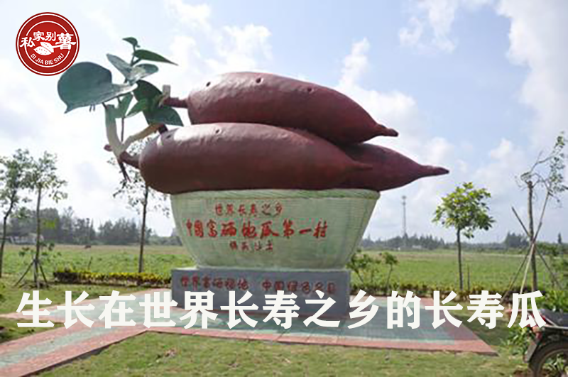 富硒地瓜蒸烂了怎么办