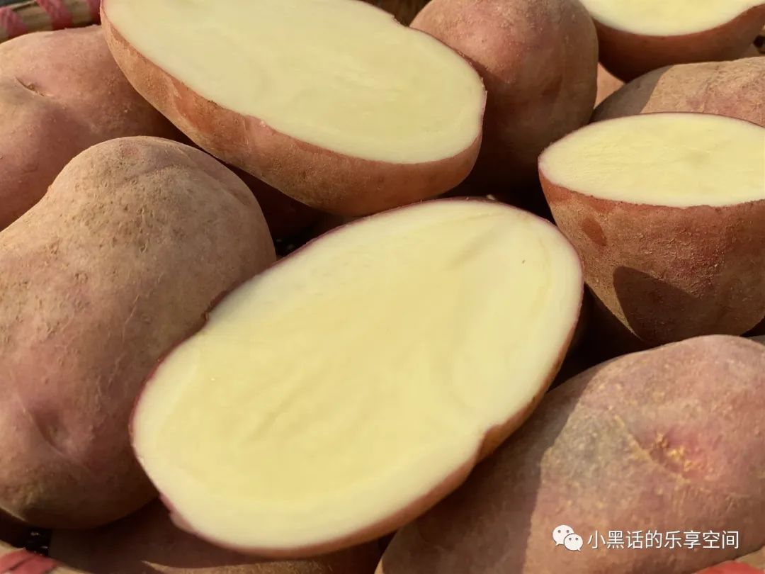 海南富硒地瓜顺丰包邮(海南地瓜价格)-硒宝网