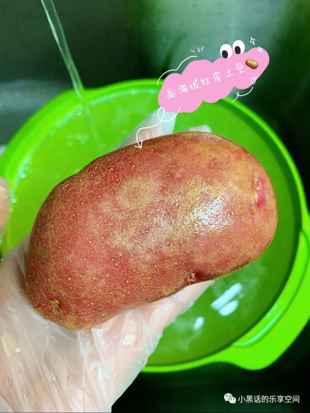 海南富硒地瓜顺丰包邮(海南地瓜价格)-硒宝网