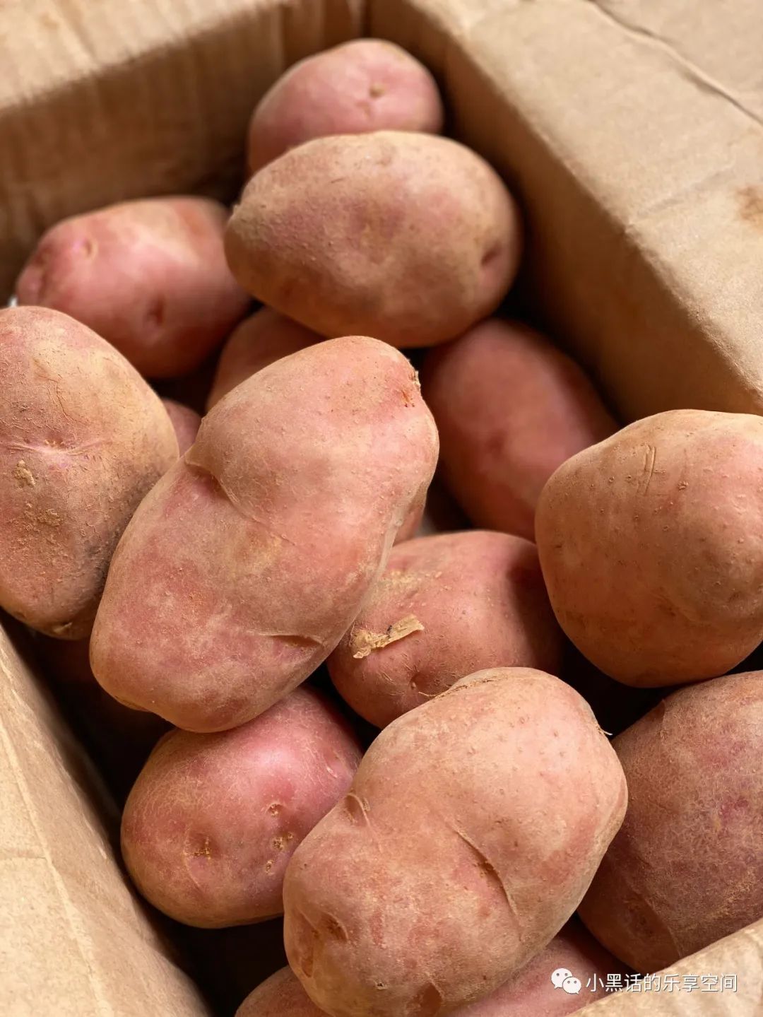 海南富硒地瓜顺丰包邮(海南地瓜价格)-硒宝网