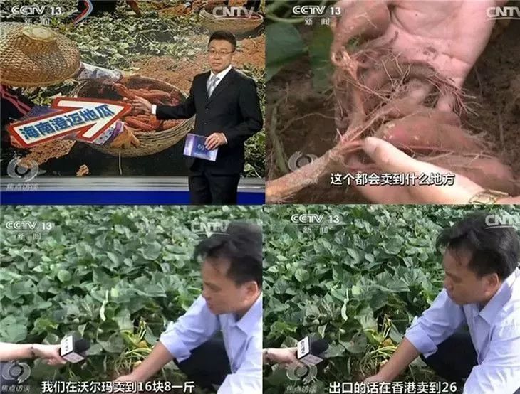 吃富硒地瓜瘦吗会瘦吗