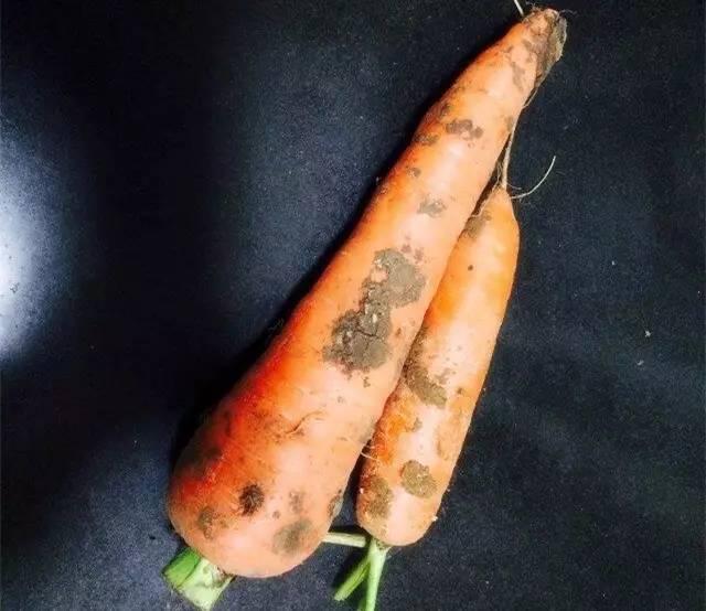还在饿肚子降糖？这5类食物，让你吃饱还控糖！营养又健康