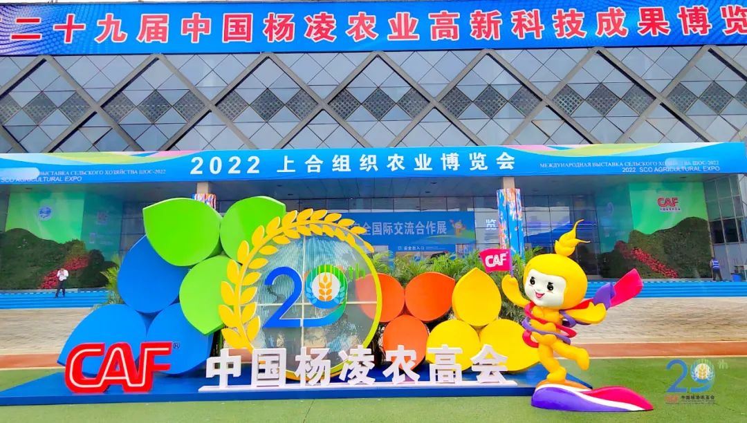 哈萨克斯坦面粉富硒吗