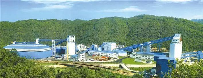 富硒蔬菜生产企业排名(中国富硒蔬菜杂交)-硒宝网