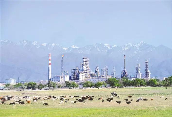 富硒蔬菜生产企业排名(中国富硒蔬菜杂交)-硒宝网