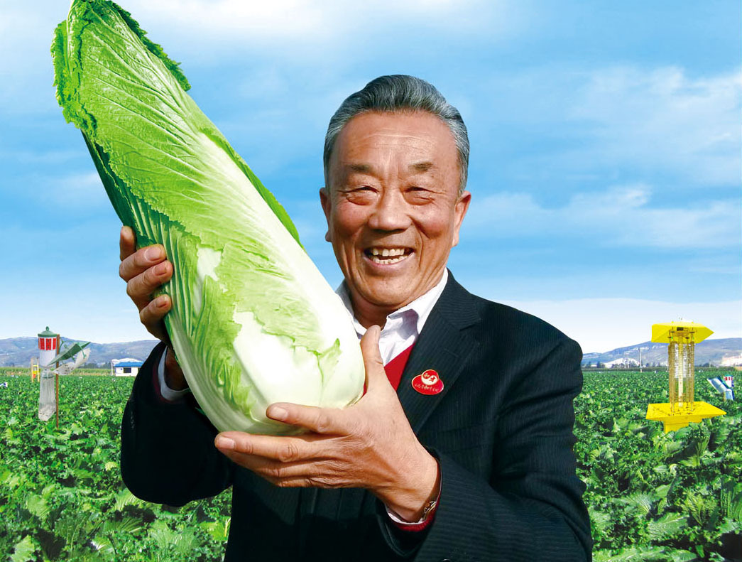 人工如何种植富硒蔬菜
