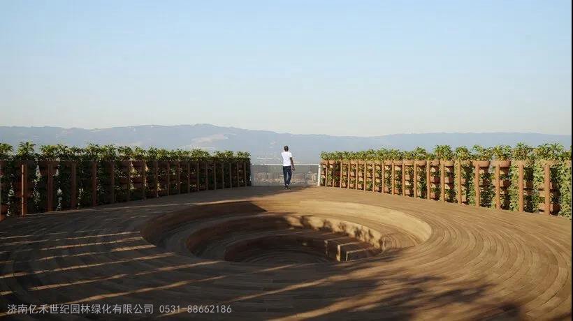 无土富硒蔬菜种植技术