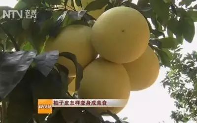哪个季节适合补钙