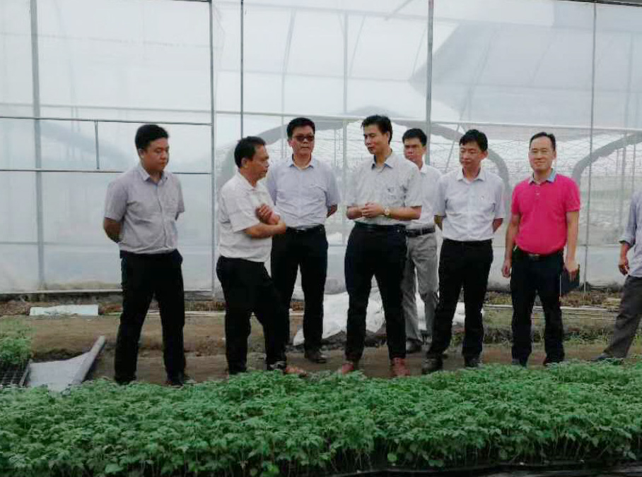 富硒蔬菜种植示范基地
