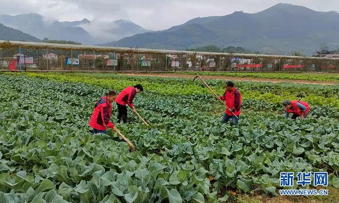 东莞富硒蔬菜批发市?。ǘ父幻袷卟伺⑹谐。?硒宝网
