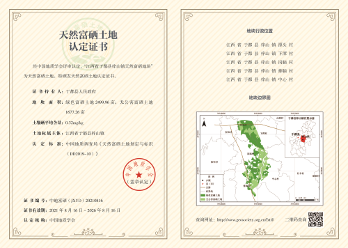 于都梓山万亩富硒蔬菜
