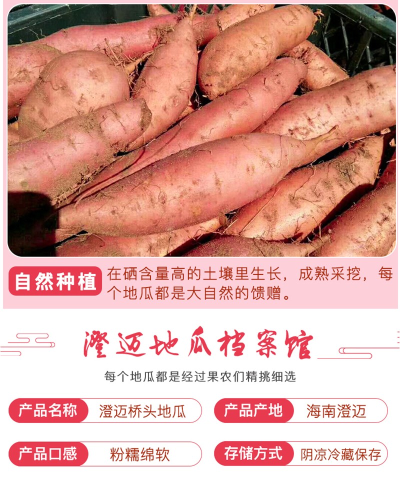 梓山镇富硒蔬菜产业园