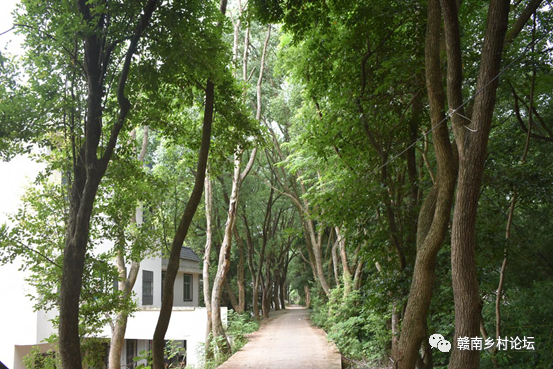 梓山万亩富硒蔬菜基地